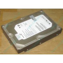 HP 250G 7.2k 432337-001/ 399699-001 / 397377-004 SATA HDD (Майкоп)