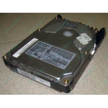 Жесткий диск 18.4Gb Quantum Atlas 10K III U160 SCSI (Майкоп)