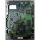Жесткий диск 18.4Gb Quantum Atlas 10K III U160 SCSI (Майкоп)