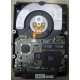 Жесткий диск 18.2Gb IBM Ultrastar DDYS-T18350 Ultra3 SCSI (Майкоп)