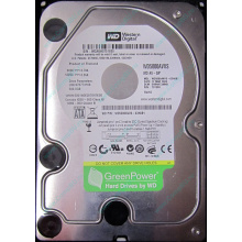Б/У жёсткий диск 500Gb Western Digital WD5000AVVS (WD AV-GP 500 GB) 5400 rpm SATA (Майкоп)