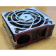 HP 224977 (224978-001) for Proliant ML370 G2/G3/G4 (Майкоп).