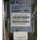 Жёсткий диск 146.8Gb HP 365695-008 404708-001 BD14689BB9 256716-B22 MAW3147NC 10000 rpm Ultra320 Wide SCSI купить в Майкопе, цена (Майкоп).