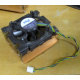 Intel C24751-002 (Майкоп)