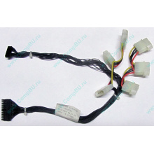 59P4789 FRU 59P4792 в Майкопе, кабель IBM 59P4789 FRU 59P4792 для серверов X225 (Майкоп)