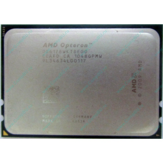 AMD Opteron 6128 OS6128WKT8EGO (Майкоп)