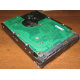 Жесткий диск 300Gb 15k Seagate Cheetach ST3300656SS 15K.6 Dell 9CH066-050 6G SAS (Майкоп)